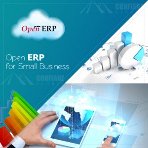 Small Business ERP