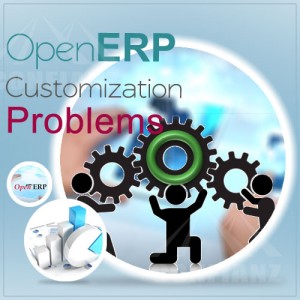 ERP CUSTOMIZATION ISSUES