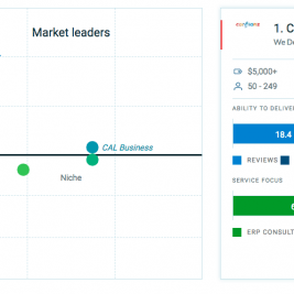 Top ERP Consulting Firm
