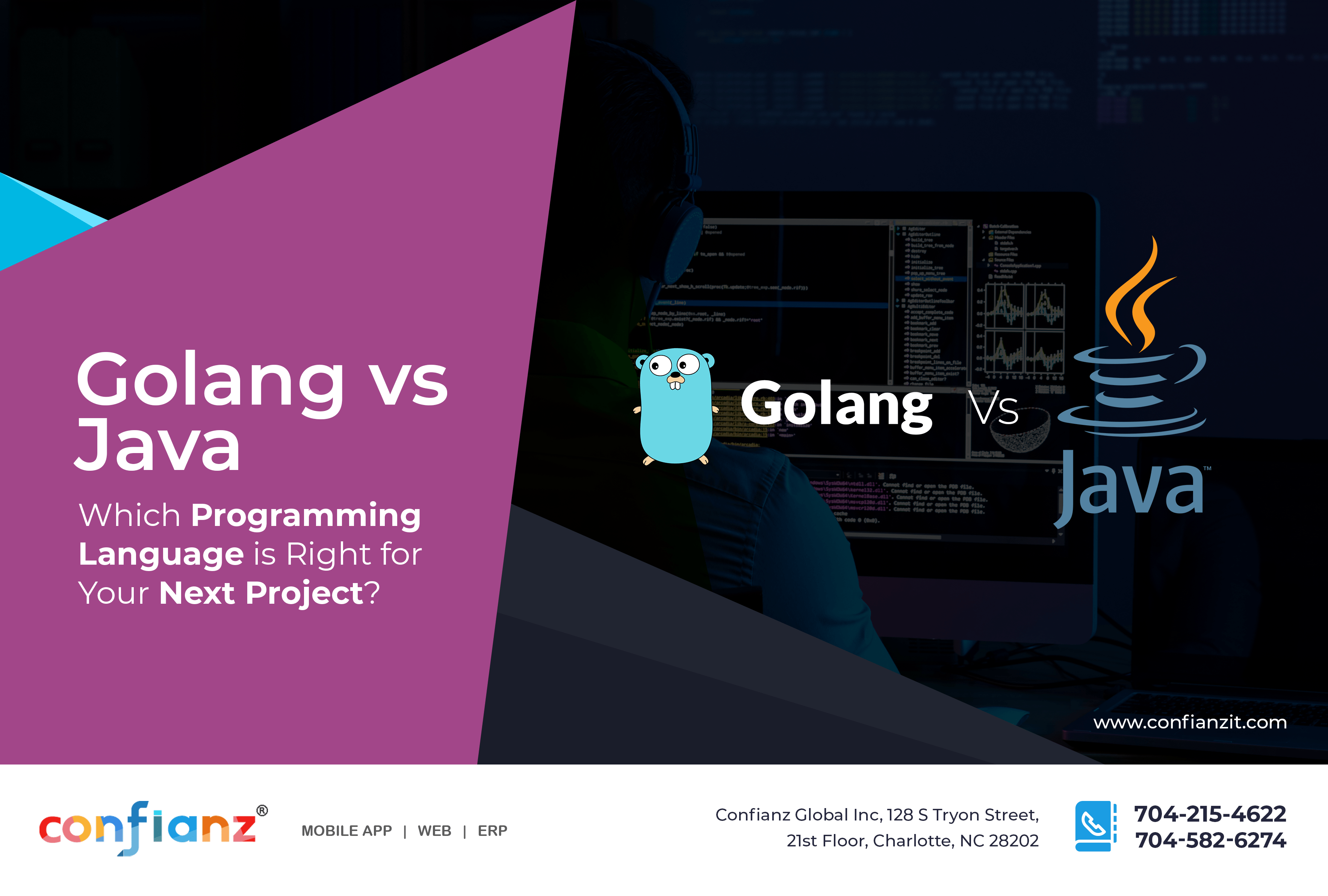 What is Go? Golang Programming Language Meaning Explained