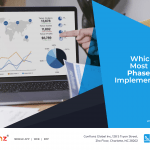Phase in ERP Implementation