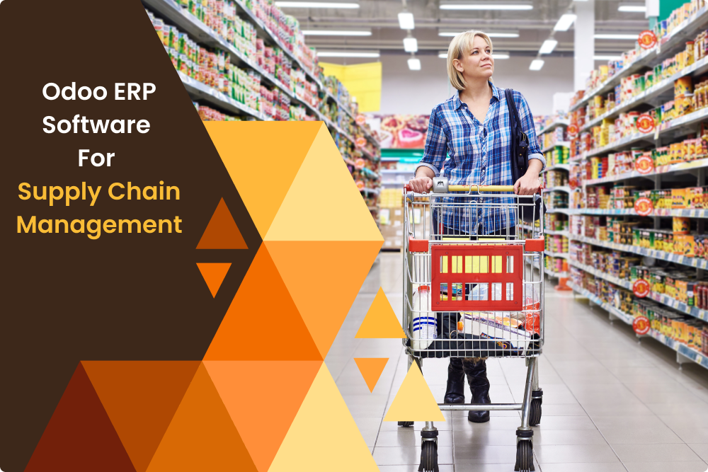 Odoo ERP Software for Supply Chain Management in Retail Companies