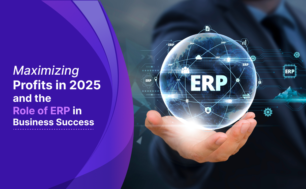 Maximizing Profits in 2025 and the Role of ERP in Business Success