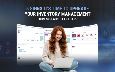 5 Signs It’s Time to Upgrade Your Inventory Management from Spreadsheets to ERP